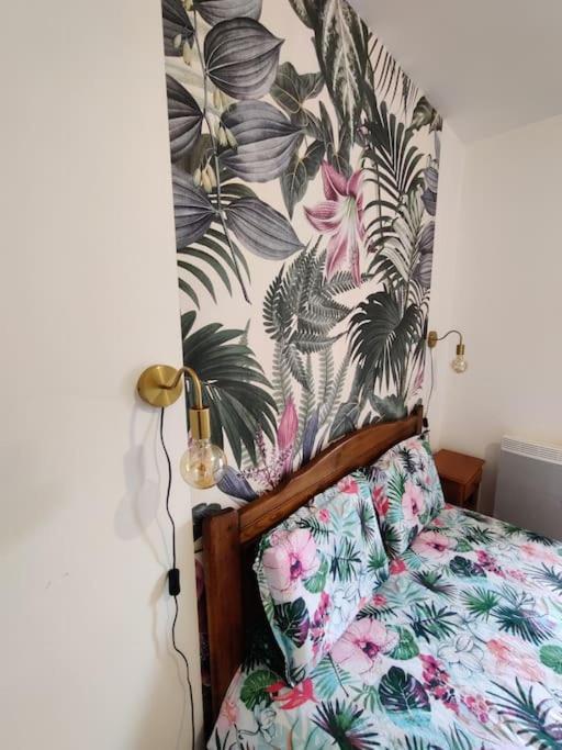 Le Tropica Appartement 2 Chambres, Plein Sud Centre Ville De Vitre Екстериор снимка