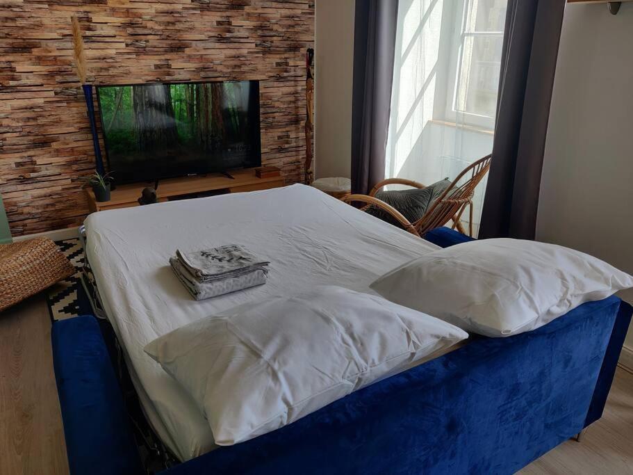 Le Tropica Appartement 2 Chambres, Plein Sud Centre Ville De Vitre Екстериор снимка